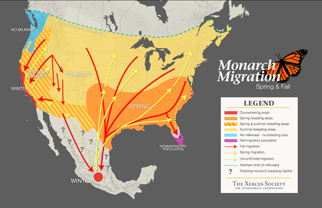 Xerces Society map of monarch migration